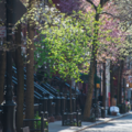 2 bedrooms apartment for rent in West Village - Manhattan, New York