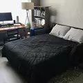Room for rent in Boerum Hill #12