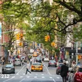 Coliving in Nolita / Bowery - Manhattan, New York