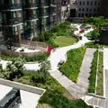 Coliving in Downtown Brooklyn - Brooklyn, New York