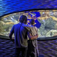 Looking for a roommate in North Charlotte - Charlotte