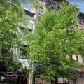 Coliving in East Village - Manhattan, New York