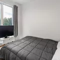 Coliving in Bedford Stuyvesant - Brooklyn, New York