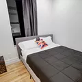Coliving in Bedford Stuyvesant - Brooklyn, New York