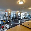Coliving in Tribeca - Manhattan, New York