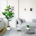 Coliving in FiDi - Manhattan, New York