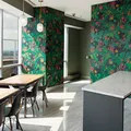 Coliving in Chelsea - Manhattan, New York