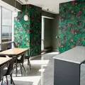 Coliving in Midtown - Manhattan, New York