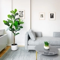 Coliving in FiDi - Manhattan, New York