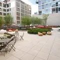 Coliving in Chelsea - Manhattan, New York