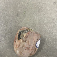 Looking for a roommate in Merced Area - Stockton