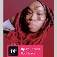 Looking for a roommate in Inner Loop - Houston