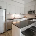 1 bedroom apartment for rent in Fort Greene - Brooklyn, New York