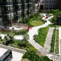 Coliving in Downtown Brooklyn - Brooklyn, New York
