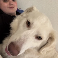 Looking for a roommate in Center Denver, East Denver - Denver