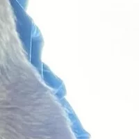 Buscando compañero de cuarto en San Gabriel Valley - Los Angeles