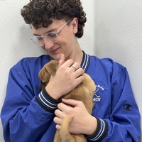 Looking for a roommate in Central Los Angeles, Westside / South Bay, The Harbor, San Fernando Valley, Southeast, The Verdugos, Orange County, San Gabriel Valley, Ventura, Inland Empire - Los Angeles