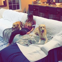 Room for rent in Chapel Hill–Ben Davis - West Indy, Indianapolis