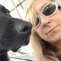 Room for rent in Belmont Cragin - Northwest Side, Chicago