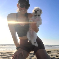 Looking for a roommate