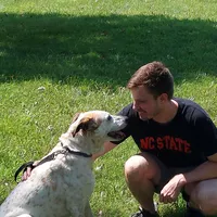 Looking for a roommate