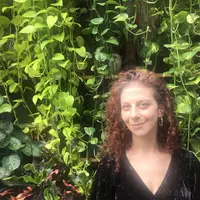 Room for rent in Cobble Hill - Brooklyn, New York