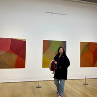 Looking for a roommate in Toronto - Toronto
