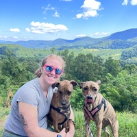Looking for a roommate in Central Charlotte, North Charlotte, East Charlotte, West Charlotte - Charlotte