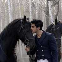 Looking for a roommate in Downtown Van - Vancouver