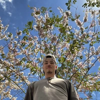 Looking for a roommate in Palm Beach County - Miami