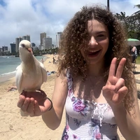 Looking for a roommate in Manhattan, Brooklyn, Queens - New York