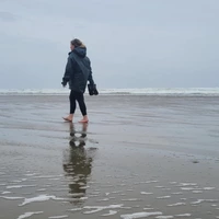 Looking for a roommate in SE Portland, East Portland - Portland