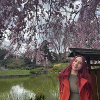 Looking for a roommate in Manhattan, Brooklyn, Queens - New York