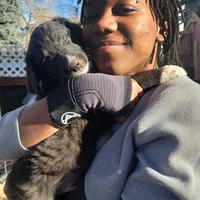 Room for rent in Uptown Denver - Center Denver, Denver