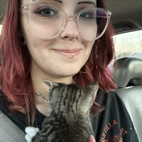 Looking for a roommate in Phoenix, NW Valley, SW Valley, NE Valley, SE Valley - Phoenix