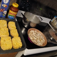 Looking for a roommate in Central Tampa, North Tampa, West Tampa, Clearwater-St. Petersburg - Tampa