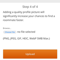 Looking for a roommate in Ne Dallas, Nw Dallas - Dallas