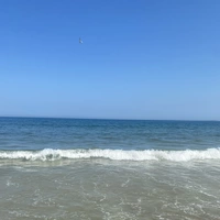 Room for rent in South Portland - SW Portland, Portland