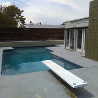 Looking for a roommate
