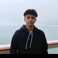 Looking for a roommate in Metro Area - Boston