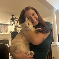 Looking for a roommate in Chicago Burbs - Chicago