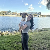 Looking for a roommate in Central Orlando, North Orlando, East Orlando, West Orlando - Orlando