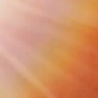 Looking for a roommate in South Bay - San Francisco