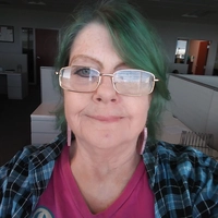 Looking for a roommate in Central Charlotte, East Charlotte - Charlotte