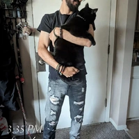 Looking for a roommate in Chicago Burbs - Chicago