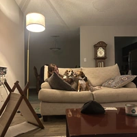 Room for rent in Morrisville - Outer Triangle, Raleigh