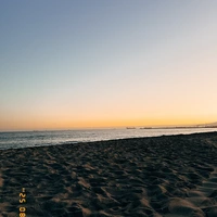 Looking for a roommate in Orange County - Los Angeles