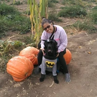 Looking for a roommate in Central SD, Coastal, East SD, Inland, North SD - San Diego