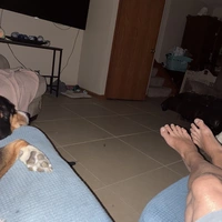 Looking for a roommate in Chicago Burbs - Chicago