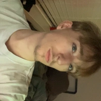 Looking for a roommate in Central Charlotte - Charlotte